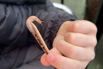 slug on end of stick in child's hand