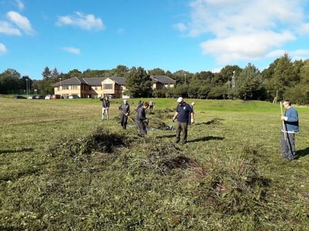 Trust volunteers and staff from Thomas Swan raking the meadow