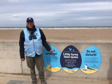 Little tern signs at Seaton Carew