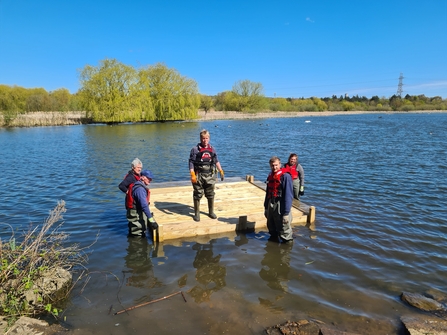 Volunteers and staff launching a tern raft at Shibdon Pond
