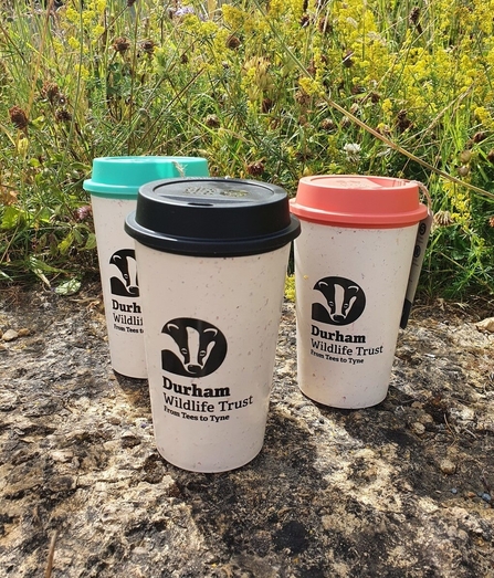 Travel Cups in three colours.