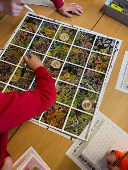 Child at table with image matrix of moorland habitat