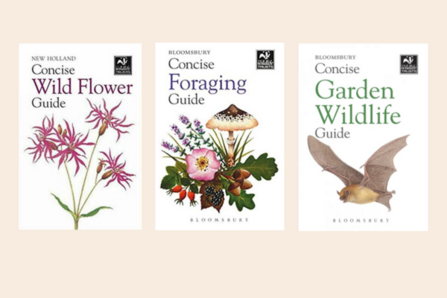 Three Concise Guides - Wildflower, foraging and garden wildlife.