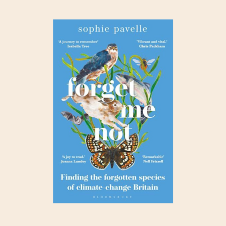 Forget Me Not by Sarah Pavelle