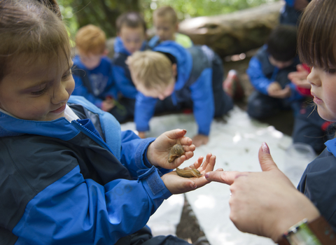 Children learning about bugs as part of school visit