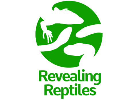 revealing reptiles logo