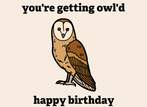 Greetings eCard with a digital drawing of an owl, the DWT logo and the captions 'you're getting owl'd' and 'happy birthday' above and below the owl.
