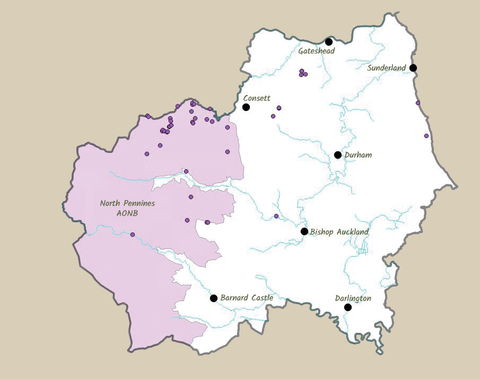 Map of common lizard sightings