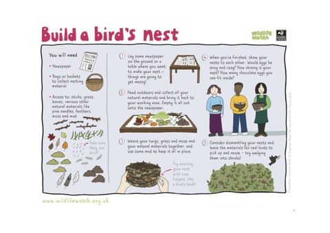 Build a bird nest instruction sheet