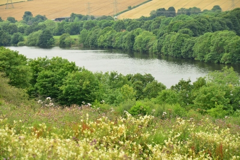 Westfield Pasture Nature Reserve