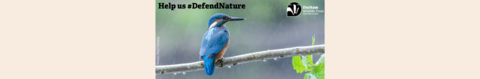 Defend Nature blog header