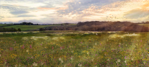 Visualisation of nature restored with abundant wildflowers and many wading birds both in the reedbed and flying overhead 