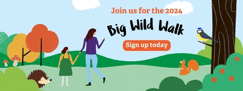 illustration of people in woodland promoting Big Wild Walk