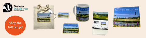 Rainton Meadows Merchandise