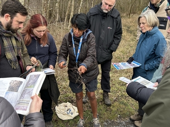 Group of people in circle looking at twigs to help ID trees