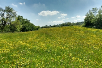 Cross Lane Meadows Nature Reserve