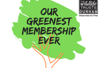 Our Greenest Membership Ever 