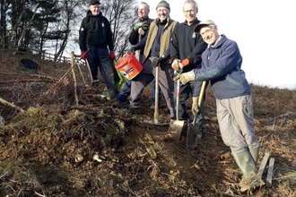 volunteers creating a hibernacula