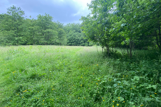 Photo of Victoria Garesfield Nature Reserve, field with grass and trees 