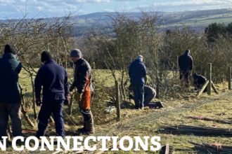 volunteers working on fencing with green landscape in background