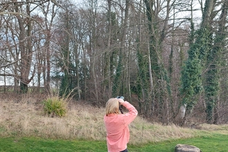 Person looking up at trees through binoculars