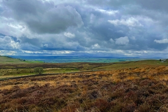 View of Cuthbert's Moor