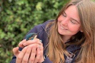 Staff member Mary-Anne holding a kingfisher during bird ringing