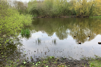 Picture of Brinkburn Pond