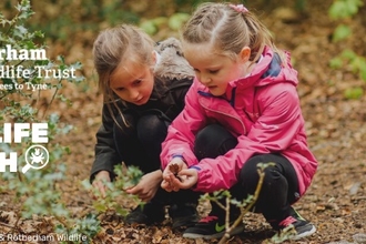 Two little girls examining some foliage