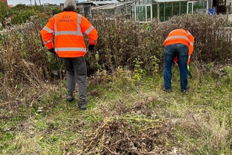 Two people in high vis jackets working in green space