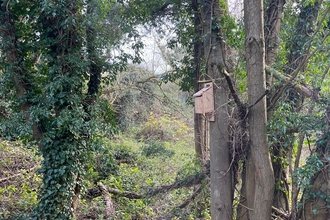 nest box on tree.