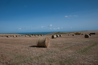 Arable field