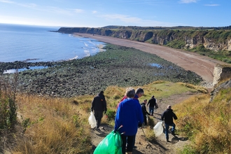 Group walking with litter pick bags towards beach, cliffs and sea in background