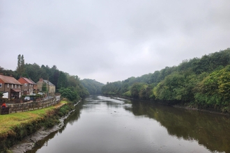 River and riverbank with trees on right and houses on left.