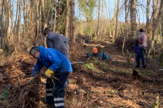 people carrying out conservation work in a woodland