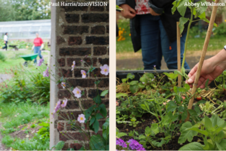 gardening event header