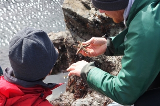 Rock pooling Winter