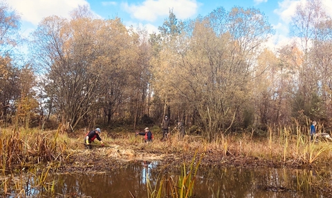 volunteers doing work in pond