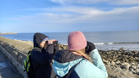 Two people bird watching on coast