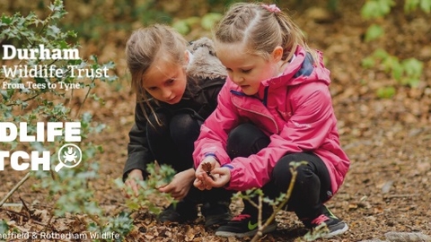 Two little girls examining some foliage