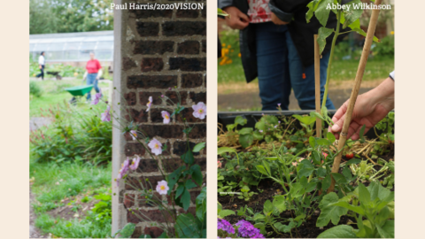 gardening event header