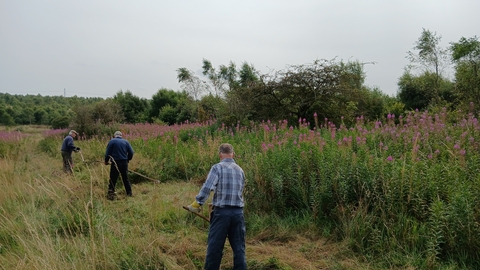 three people standing in field using scythes