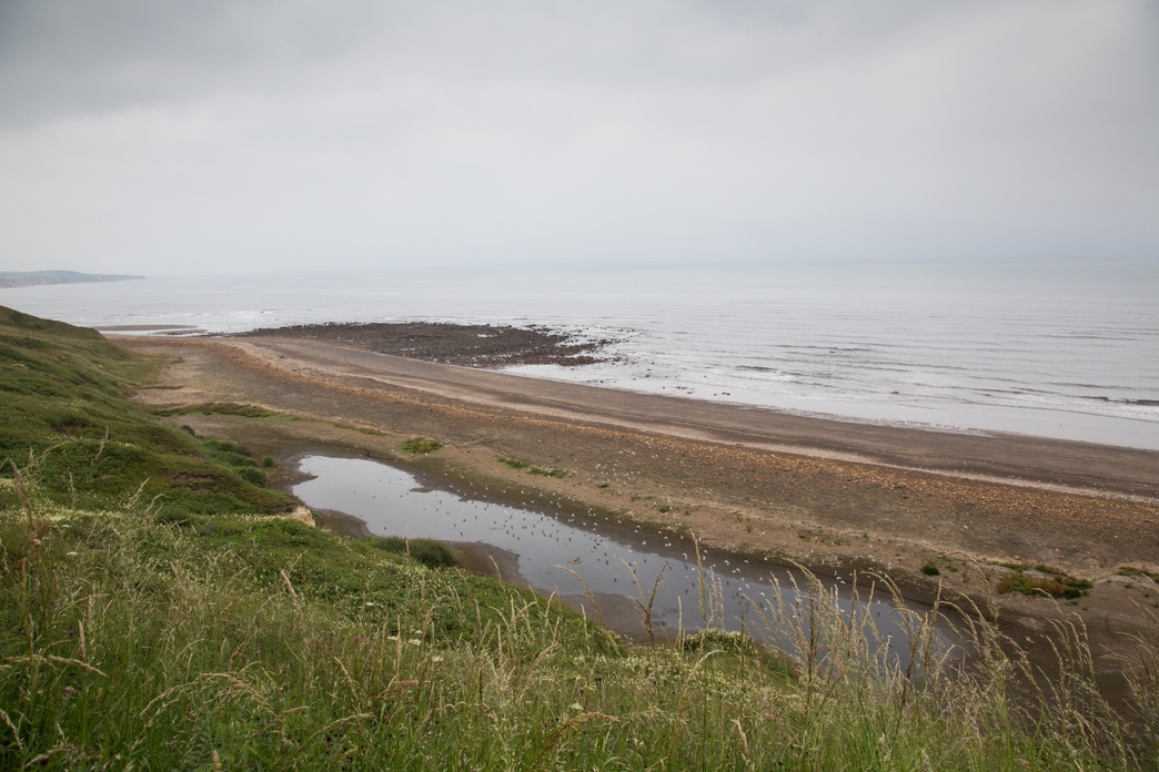 Blackhall Rocks & Cross Gill | Durham