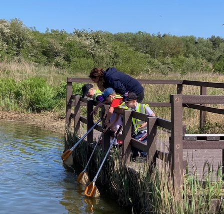 Pond Dipping Rainton Meadows