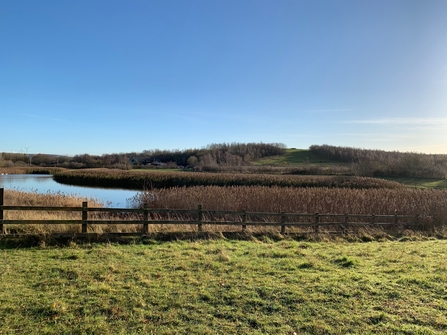 Running Wild Rainton pond 1