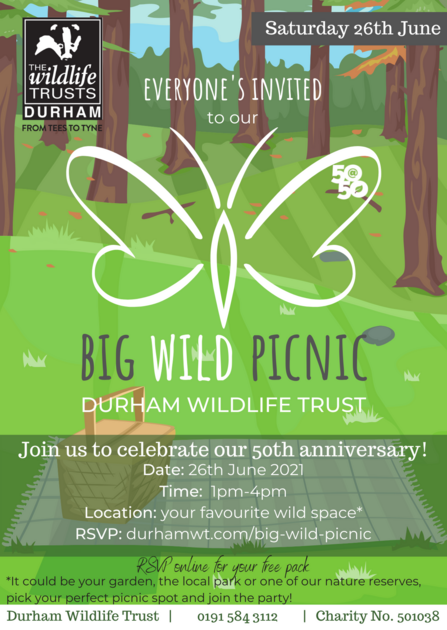 Big Wild Picnic invite