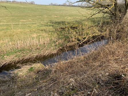 Discover Brightwater River Skerne