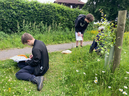 young volunteers conducting research in a meadow