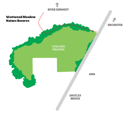 Westwood Meadow Nature Reserve map