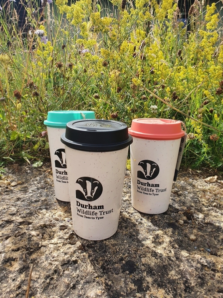 Three reusable Durham Wildlife Trust cups